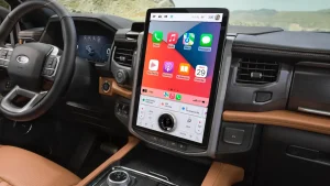 Software Glitches Fueled OEM